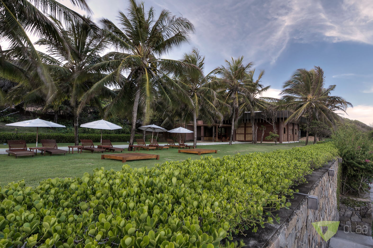 OLAA gameleira41.JPG