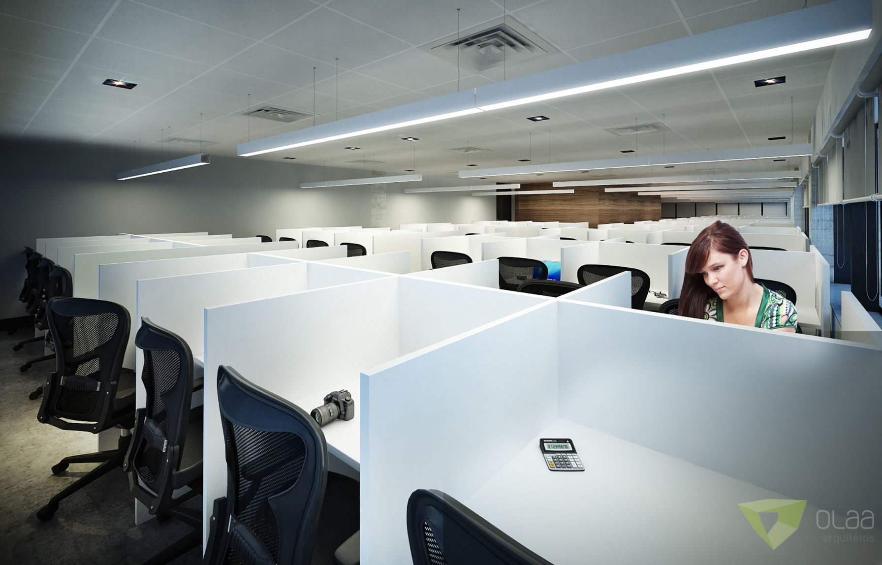 olaa ibmec Sp 15.JPG