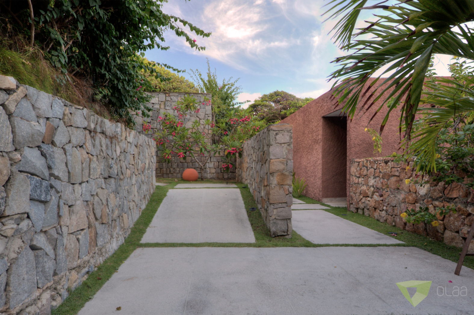 OLAA gameleira43.JPG