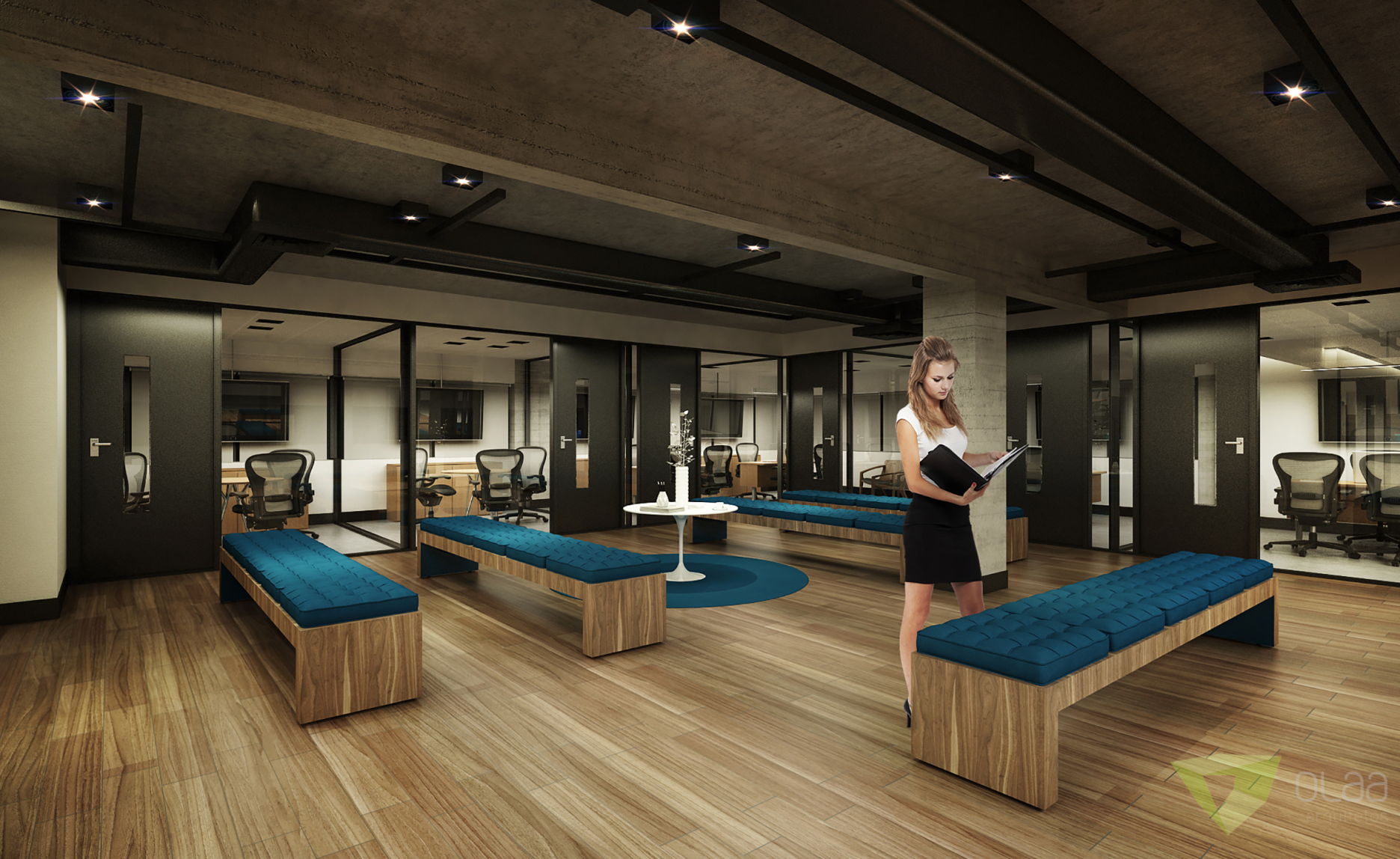 olaa ibmec Sp 11.JPG