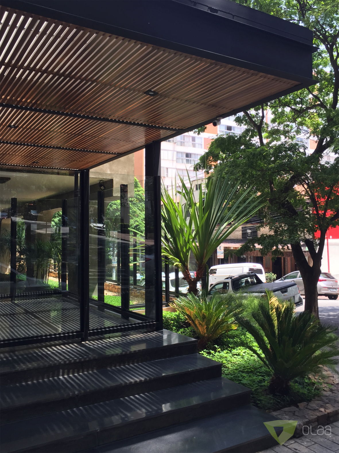 OLAA 372FRANCA08.JPG