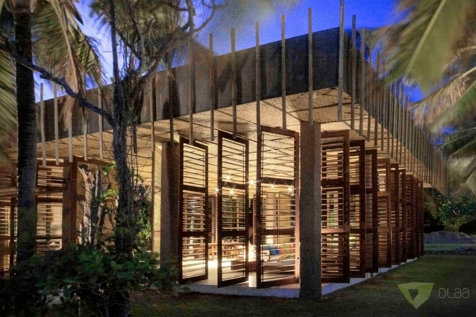 OLAA gameleira50.JPG