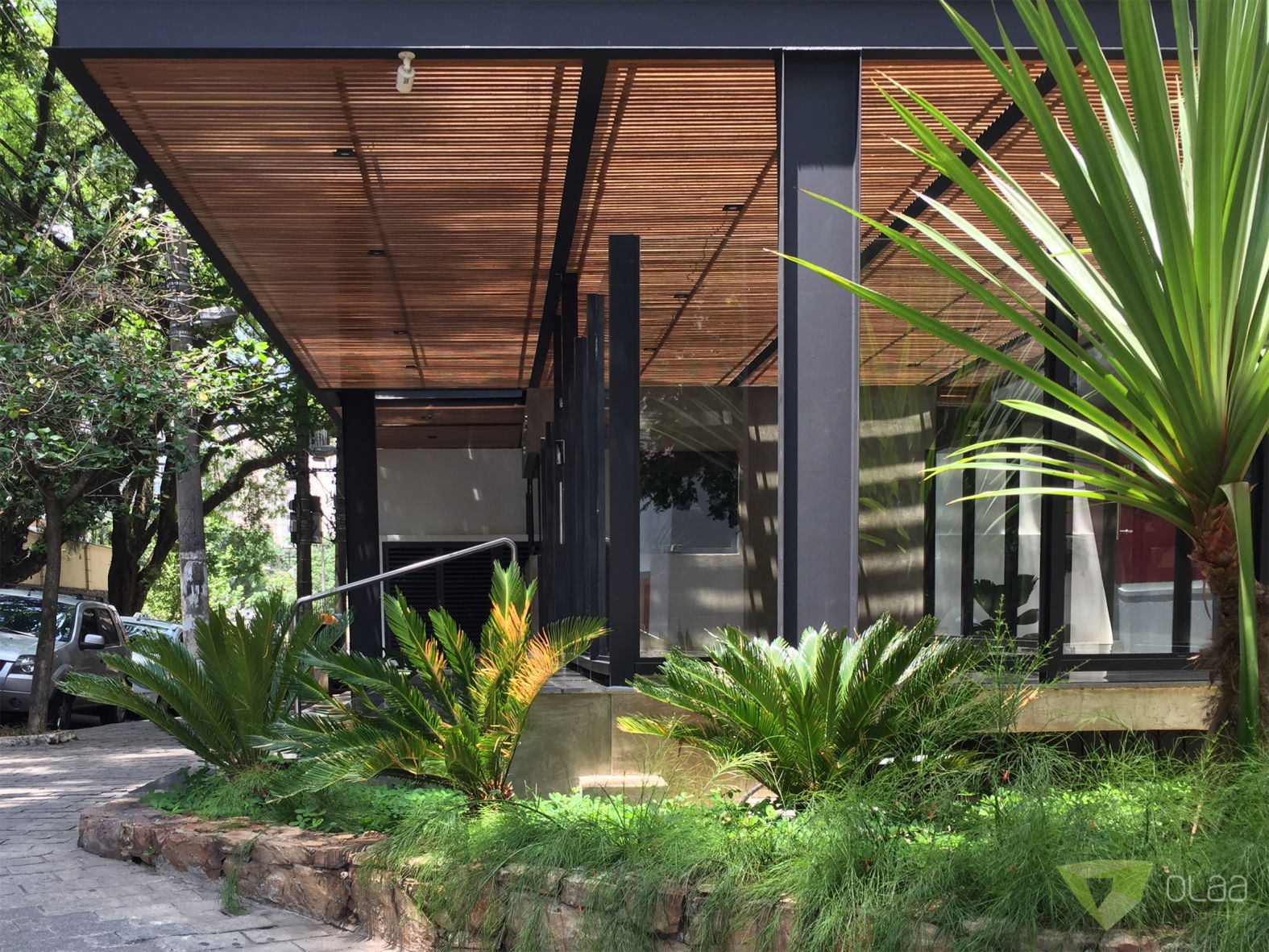 OLAA 372FRANCA11.JPG